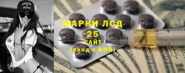 гашик Кулебаки