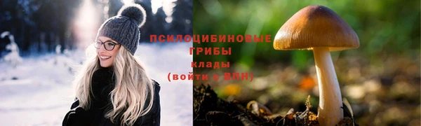 скорость Лагань
