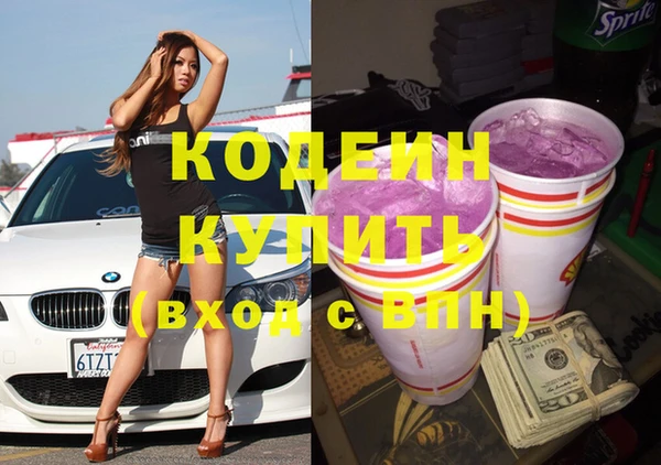 гашик Кулебаки