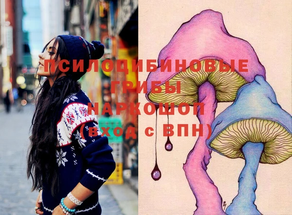 МДПВ Кукмор