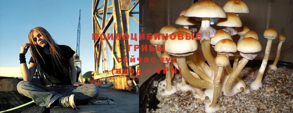 МДПВ Кукмор