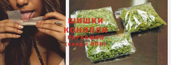 гашик Кулебаки