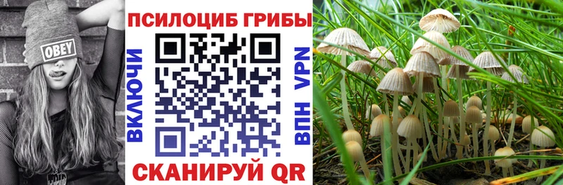 Псилоцибиновые грибы GOLDEN TEACHER  Ленинск 