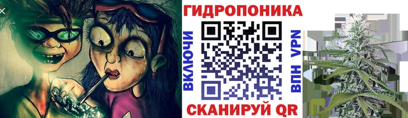 Канабис OG Kush  кракен ССЫЛКА  Ленинск 